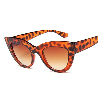 Cat Eye Sunglasses Buy Online In Wide Range of Colours